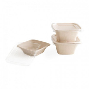 Square cane fiber salad bowl 180 x 180 x 60 mm 70 cL (400 pcs)