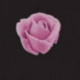 JEM Giant Rose / Petal / Ruffle Nozzle -127D