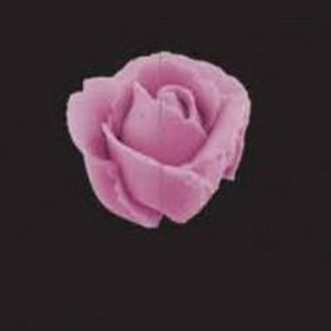 JEM Giant Rose / Petal / Ruffle Nozzle -127D