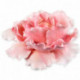 PME Peony Plunger Cutter Set/3
