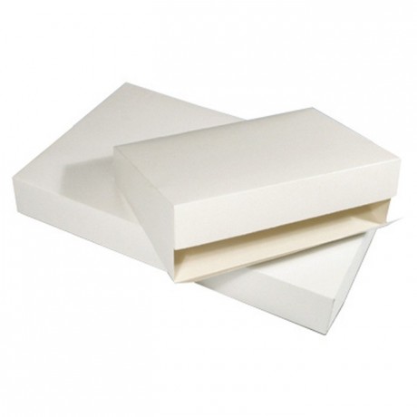 White catering standard box 290 x 200 x 60 mm (25 pcs)