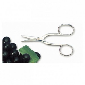 Grape or sea urchin scissors