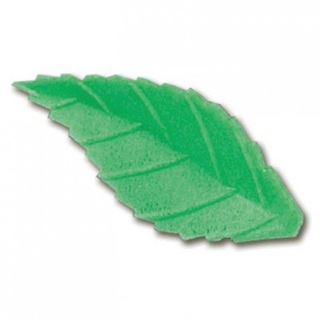 Edible dark green leaf (500 pcs)