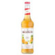 Melon Monin syrup 70 cL