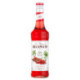 Sirop spicy Monin 70 cL