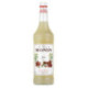 Anise Monin syrup 1 L