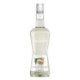 Liqueur cacao blanc 20 % Monin 70 cL