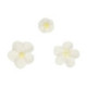 FunCakes Sugar Decorations White & Yellow Flowers 32 pieces