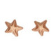 FunCakes Sugar Decorations Stars Bronze & Gold 24 pieces