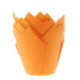 House of Marie Orange Tulip Baking Cups 36 pcs