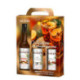 Winter drinks Monin syrup set 3 x 25 cL