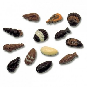 Chocolate mould polycarbonate 20 assorted seafood
