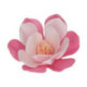 Edible Wafer Flowers FunCakes large pink magnolia 6 cm 6 pieces