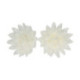 Fleurs comestibles en azyme FunCakes moyenne aster blanche 5,5 cm 14 pièces