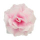 Fleurs comestibles en azyme FunCakes grande rose rose ombré 12,5 cm 1 pièce