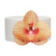 Edible Wafer Flowers FunCakes medium golden brown orchid 8.5 cm 10 pieces