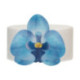 Fleurs comestibles en azyme FunCakes moyenne orchidée bleue 8,5 cm 10 pièces