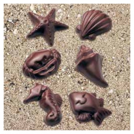 Mould chocolate seafood "Fruits de mer" 6 shapes