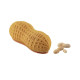 Arachide700 silicone mould