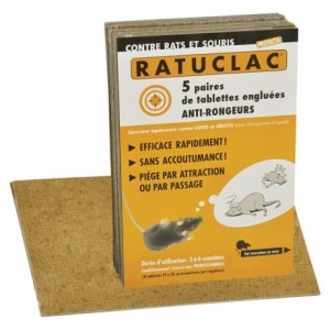 Piège contre les souris et les rats Ratulac (lot de 10)