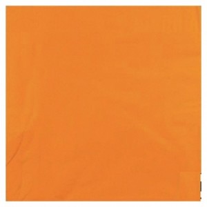 Serviette ouate mandarine 2 plis 33 x 33 cm (lot de 1200)