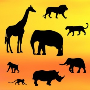 Découpoirs Patchwork silhouette safari