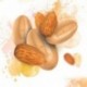 Almond Inspiration nuts couverture beans 3 kg